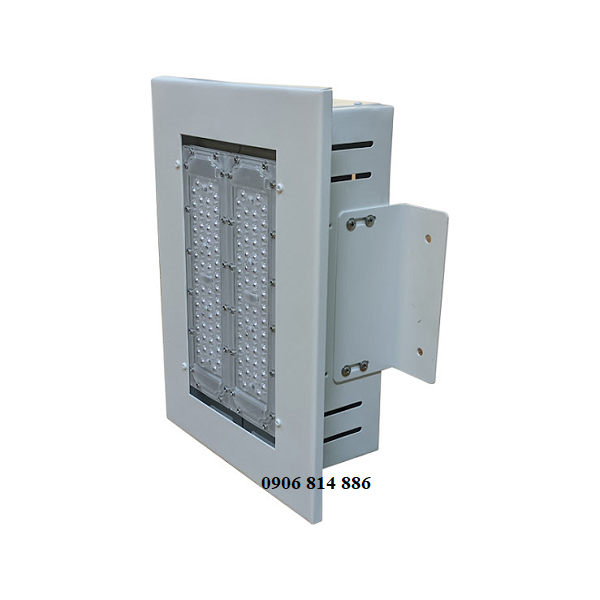 den cx100w-1