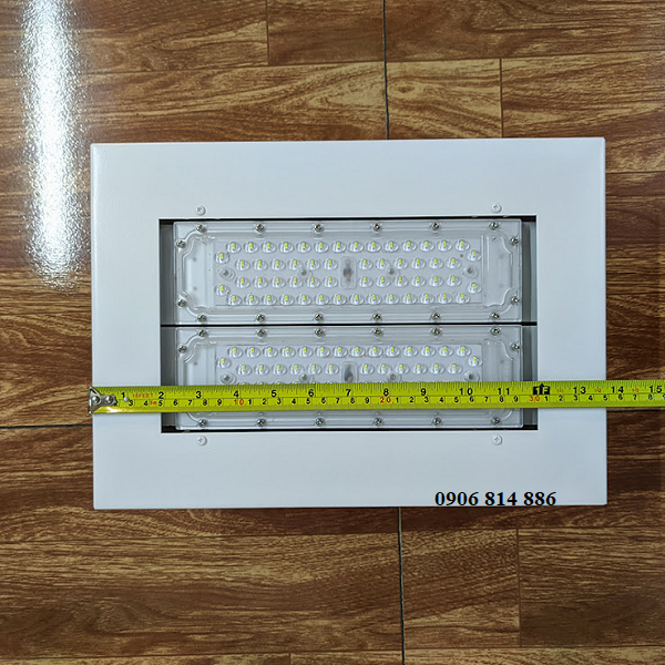 den cx100w-2